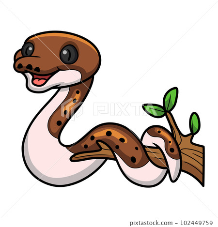 Cute pied reticulated python cartoon on tree branch 102449759
