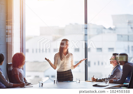 Explaing her ideas in detail. businesspeople having a meeting in a boardroom. 102450388