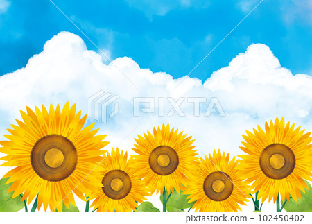 Summer greeting card with watercolor cumulonimbus and sunflowers Summer greeting card with watercolor cumulonimbus and sunflowers 102450402