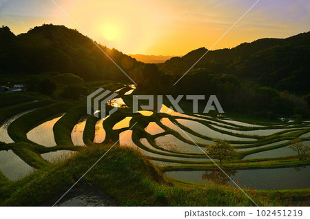 梯田的黃金周早晨(千葉縣) 梯田的黃金周早晨(千葉縣) 102451219