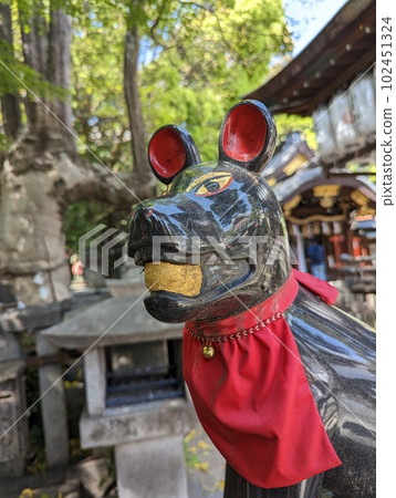 神社內的黑狐 102451324