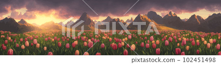 A field of tulips against the backdrop of mountains. Spring banner vector illustration. huge field of colorful tulips. Behind the field is a mountain range. Sunset. clouds of orange 102451498
