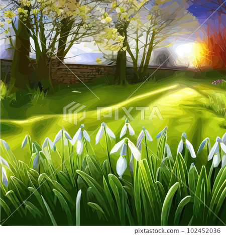 White snowy easter flowers with fresh green leaves in a spring sunny forest. Delicate snowdrops The first flower of spring symbols. Spring Easter concept. White snowy easter flowers with fresh green leaves in a spring sunny forest. Delicate snowdrops The first flower of spring symbols. Spring Easter concept. 102452036