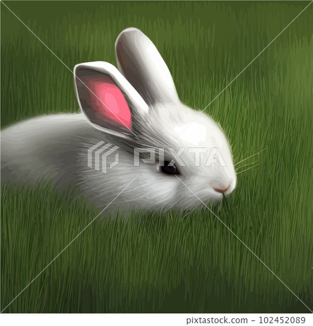 Cute little rabbit for Easter spring holiday , Vector spring holiday .Easter landscape , Wildlife forest, park, meadow and farm animals. Nice rabbit sitting on the meadow grass grass 102452089