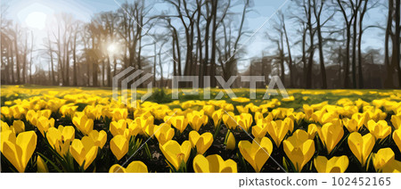 Snowfall flower. Spring wild flower. Beautiful grass of nature. Sketch of snow light flower branch. Flowering plant. Snowy floral art. Vector illustration banner Snowfall flower. Spring wild flower. Beautiful grass of nature. Sketch of snow light flower branch. Flowering plant. Snowy floral art. Vector illustration banner 102452165