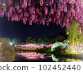 足利花卉公園 102452440