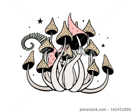 Magic tattoo with Poison witch mushrooms, fly agaric microdosing concept, mystical sticker isolated on white background. Vector hand drawn line drawing, t-shirt print. 102452898