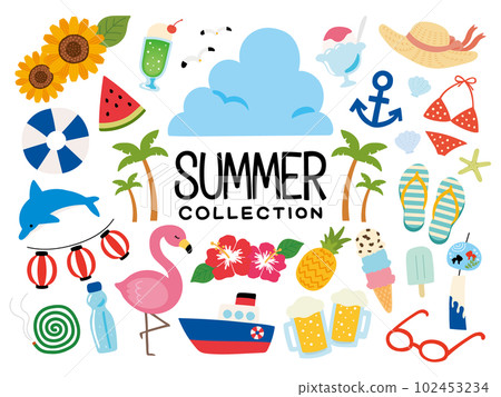 Cute summer illustration set 102453234