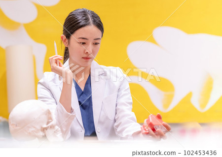 woman doctor dental  medical 102453436