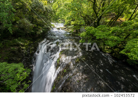 Beautiful scenery of Kikuchi Gorge when it was fresh green Beautiful scenery of Kikuchi Gorge when it was fresh green 102453572