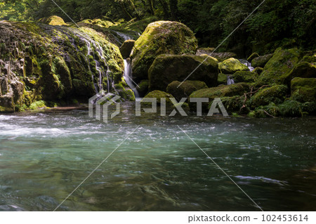 Beautiful scenery of Kikuchi Gorge when it was fresh green Beautiful scenery of Kikuchi Gorge when it was fresh green 102453614