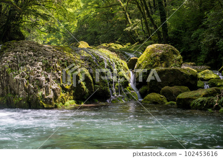 Beautiful scenery of Kikuchi Gorge when it was fresh green Beautiful scenery of Kikuchi Gorge when it was fresh green 102453616