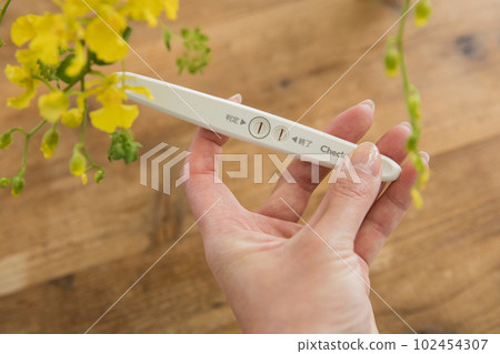 妊娠試驗藥 妊娠試驗藥 102454307