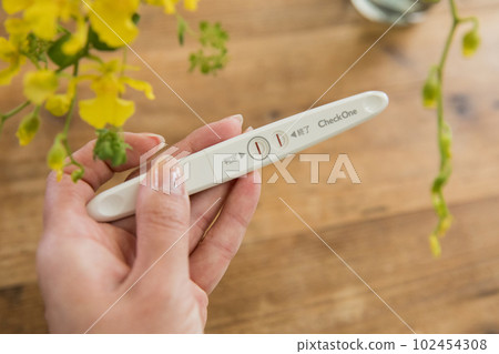 Pregnancy test drug 102454308