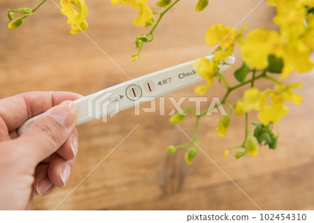 Pregnancy test drug Pregnancy test drug 102454310