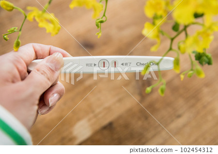Pregnancy test drug Pregnancy test drug 102454312