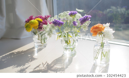 窗台上五顏六色的花朵 窗台上五顏六色的花朵 102454423