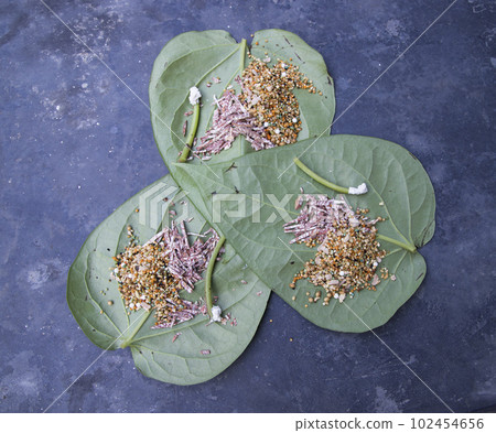 Decoration Green betel Leaf or pan on the concrete floor 102454656