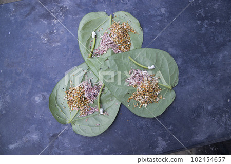 Decoration Green betel Leaf or pan on the concrete floor Decoration Green betel Leaf or pan on the concrete floor 102454657