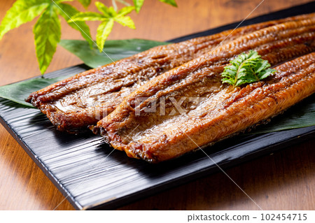 2條鰻魚 2條鰻魚 102454715