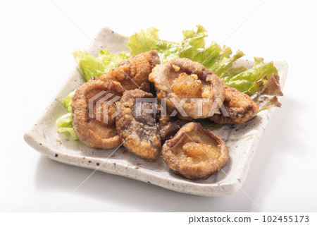 Fried shiitake mushroom 102455173