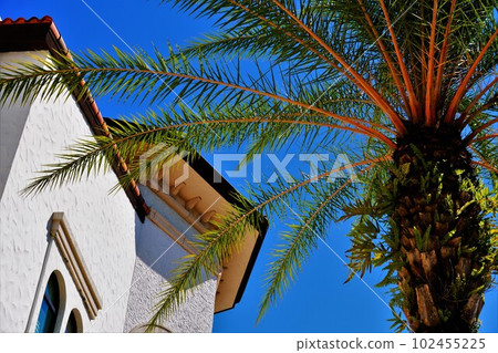 度假村風格的風景 102455225