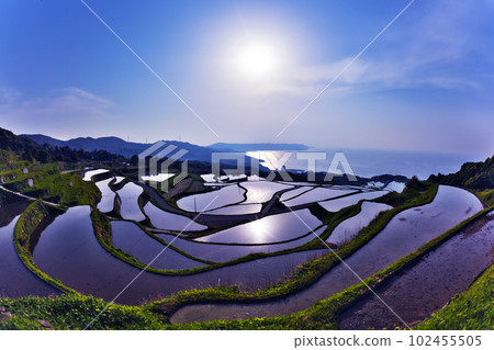 Rice terraces_East back field 102455505