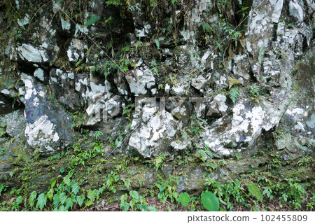 Stone walls full of white spots, rock walls, lichens Stone walls full of white spots, rock walls, lichens 102455809