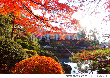 紅葉公園 秋葉 Yellow Leaves Yamagata City 紅葉公園 秋葉 Yellow Leaves Yamagata City 102456631