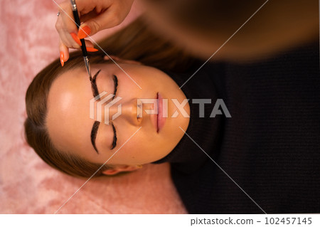 Cosmetologist Applying Dye On Female Customer's Eyebrow Cosmetologist Applying Dye On Female Customer's Eyebrow 102457145