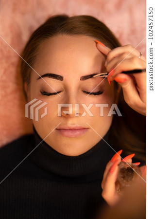 Beautician Applying Dye On Female Customer's Eyebrow 102457150