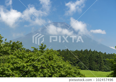 Mt.Fuji from Asagiri Plateau in early summer Mt.Fuji from Asagiri Plateau in early summer 102457496