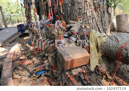 殺戮場中的殺戮樹,柬埔寨金邊 殺戮場中的殺戮樹,柬埔寨金邊 102457519