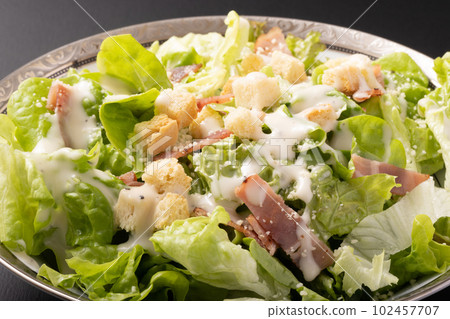 凱撒沙拉 102457707