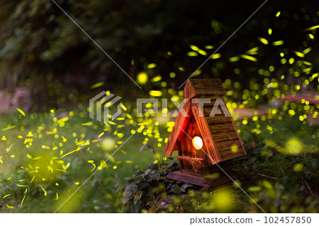 At night, fireflies flit around a wooden bird's nest on a hill. 102457850