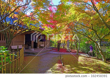 福岡縣笹栗町野山觀音寺 秋葉美麗的七福神堂 102458391