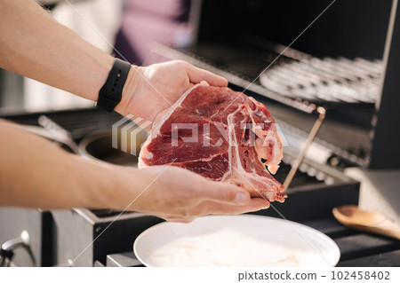 Human hand hold T-bone Steak in front of grill. BBQ concept. Close-up Human hand hold T-bone Steak in front of grill. BBQ concept. Close-up 102458402