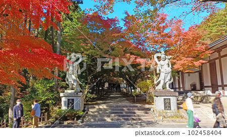 Tennoin and autumn leaves at Nomiyama Kannonji Fudo Myoo in Sasaguri Town, Fukuoka Prefecture 102458404