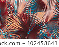 Low key palm leaves dark nature background. 102458641