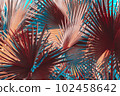 Low key palm leaves dark nature background. 102458642