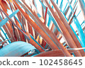 abstract pattern of agave plant. 102458645