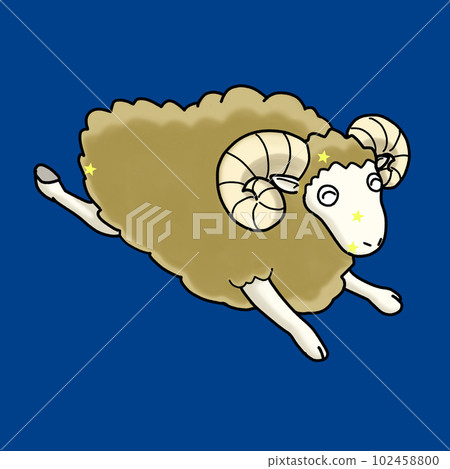 Aries 102458800