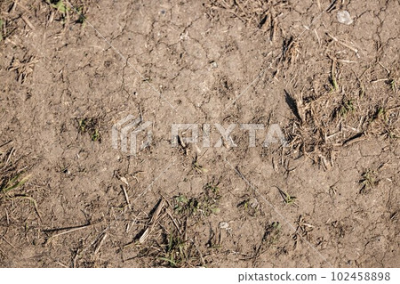 Withered and cracked earth ground soil 102458898