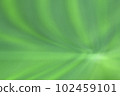 green color background abstract with waves, soft background 102459101