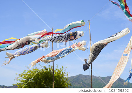 Carp streamer swimming in the blue sky Carp streamer swimming in the blue sky 102459202