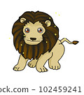 Leo 102459241