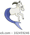 Capricorn 102459246