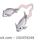 Pisces 102459248
