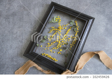 Mimosa and frame decor 102459426