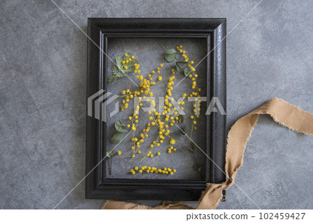 Mimosa and frame decor 102459427